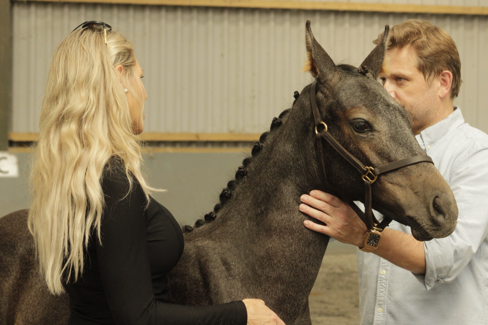 Harriet Smith discussing her plan for the young mare Valentina